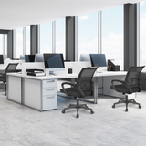 Mesh Mid-back Office Chairs with Lumbar Support